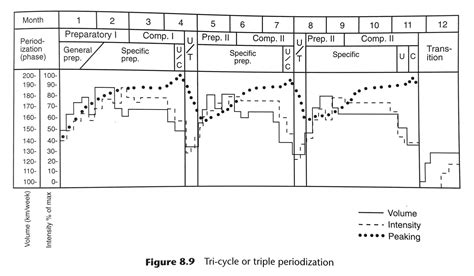 la periodizzazione tudor bompa|tudor bompa periodization.